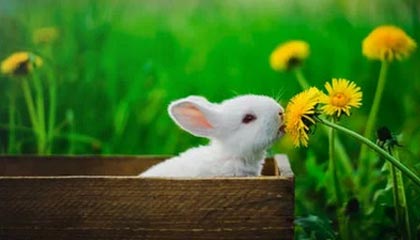 忻州伴游,定制QQ:3494206190微信:act1322